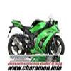Pot d'échappement Silencieux MIVV Speed Edge pour Kawasaki ZX 10R 11