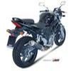 silencieux MIVV SUZUKI SV 650 04 version CARBONE HOMOLOGATION EURO