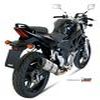 silencieux MIVV SUZUKI SV 650 04 version INOX carbone coupes HO
