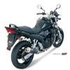 silencieux MIVV SUZUKI GSF 650 BANDIT 05 06 version CARBONE HOMOLOG