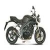 silencieux MIVV TRIUMPH SPEED TRIPLE 1050 07 10 version CARBONE HOM