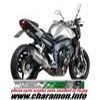 Pot d'échappement Silencieux MIVV Speed Edge pour Yamaha 1000 FZ 06