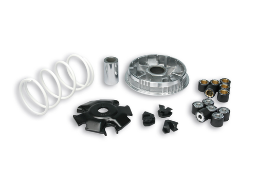 Variateur MULTIVAR PIAG X8 X9 125 51 11397 - Image 1