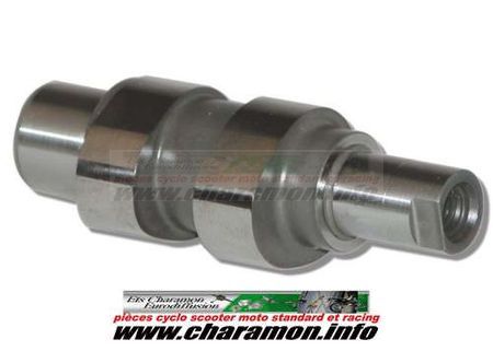 power came malossi pour APRILIA SCARABEO 50 4T, PIAGGIO C373M, PIAGGIO LIBERTY 50 4T VESPA ET4 50 4T - Image 1