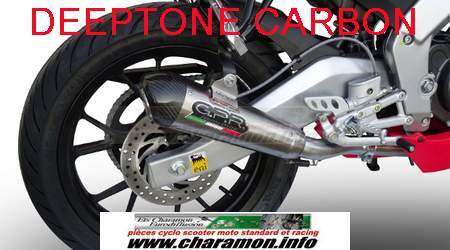 Pot d'échappement GPR pour aprilia 125  RS4 2011 avec catalyseur - Image 2