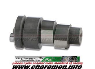 POWER CAM arbre a cames pour maxi scooter GILERA RUNNER MADISON BEVERLY CARNABY  MP3 125 SUPER HEXAGON GT - Image 1
