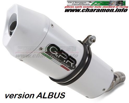 Pot d'échappement GPR pour Yamaha bulldog 1100 de 2002 à 2007 - Image 2