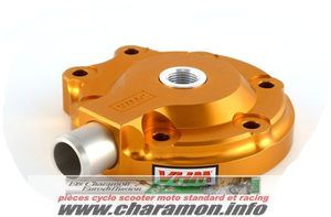 culasse VHM 250 rs honda de 2001 - Image 1