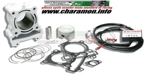 kit cylindre 63mm piston malosssi pour YAMAHA MT- 125 ie et YZF-R 125 ie depuis 2014 - Image 1