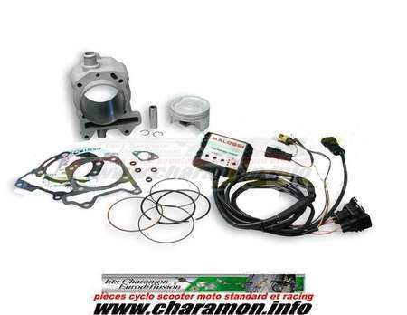 kit cylindre piston malossi pour PIAGGIO MP3 125 YOURBAN 4V diamètre 75.5 - Image 1