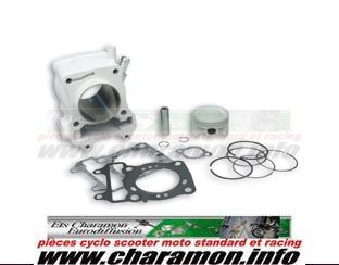 CYLINDRE malossi pour HONDA SH I 125 ie PANTHEON DYLAN  diamètre 58 axe de 14 refroidissement - Image 1