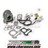 kit cylindre malossi pour honda nsc50r 50 ie 4T euro 2 type AF72E et honda vision 50 ie 4T AF72E