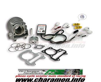 kit cylindre malossi pour honda nsc50r 50 ie 4T euro 2 type AF72E et honda vision 50 ie 4T AF72E - Image 1
