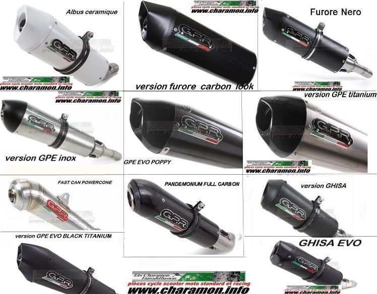 pot d'échappement GPR pour honda 250 CBR de 2010 à 2014 - Image 2