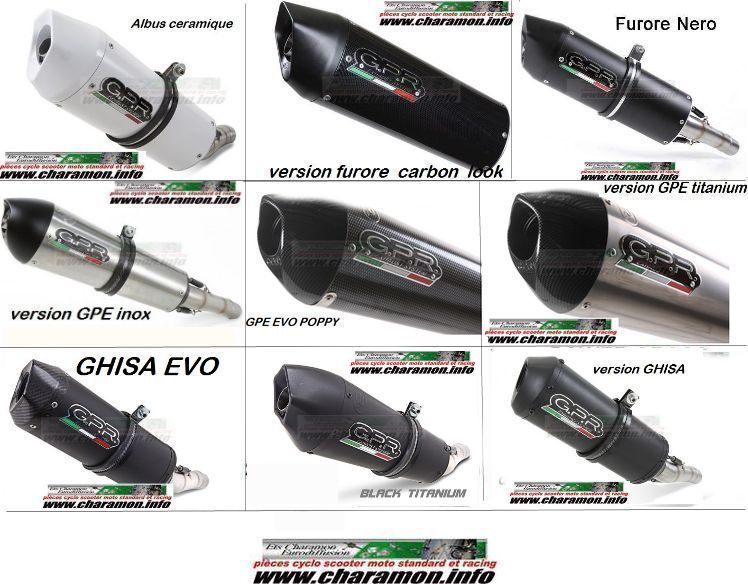 pot d'échappement GPR pour Beta 350 M4 alp 4.0 de 2005 à 2011 - Image 2