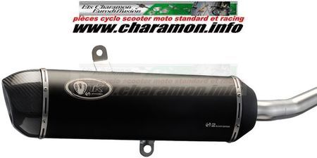 pot d'échappement TK pour DAELIM NS 125 DLX, S2 125 - Image 2
