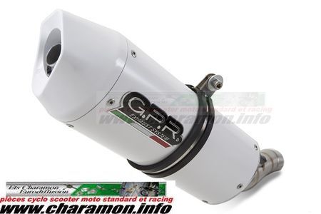 pot d'échappement GPR pour Honda CBF 125 I.E. 2004/14 - Image 2