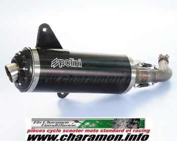 silencieux Polini pour Vespa GT 125cc 250cc et 300cc - Image 1