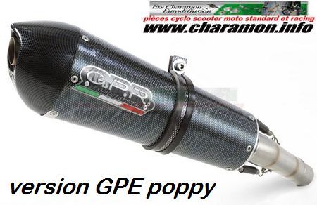 Pot d'échappement GPR pour KLX 250 I/E 2009 2013 silencieux et raccord SLIP-ON - Image 7
